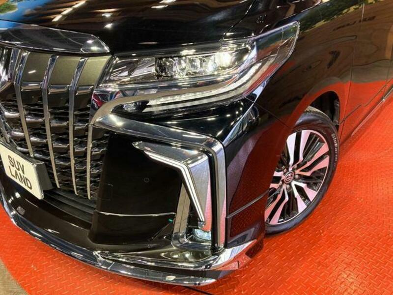 ALPHARD-12