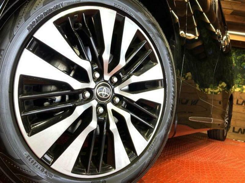 ALPHARD-13