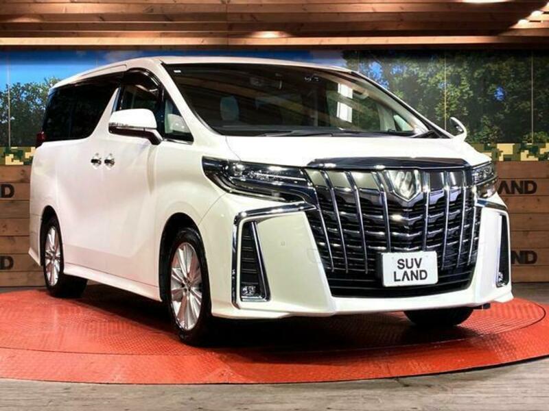 ALPHARD-16