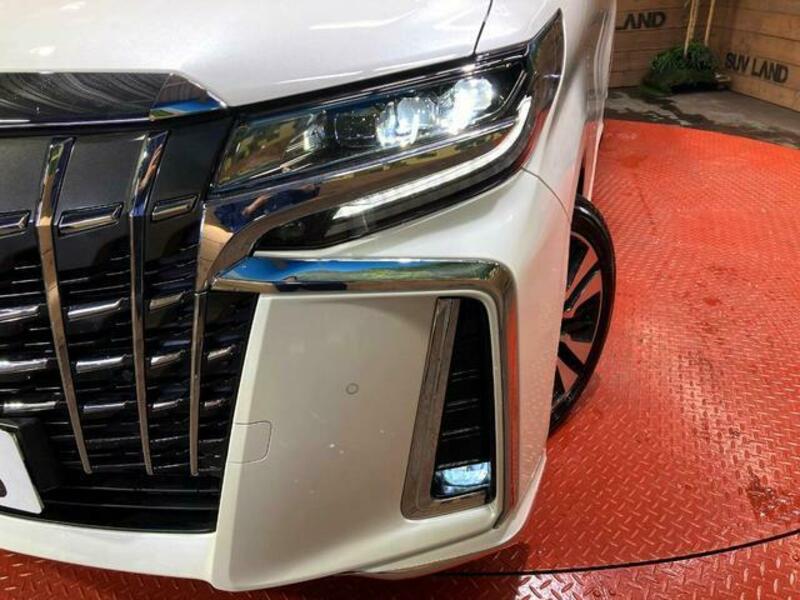 ALPHARD-13