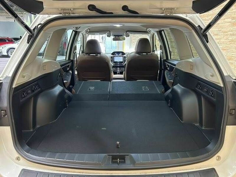 FORESTER-12