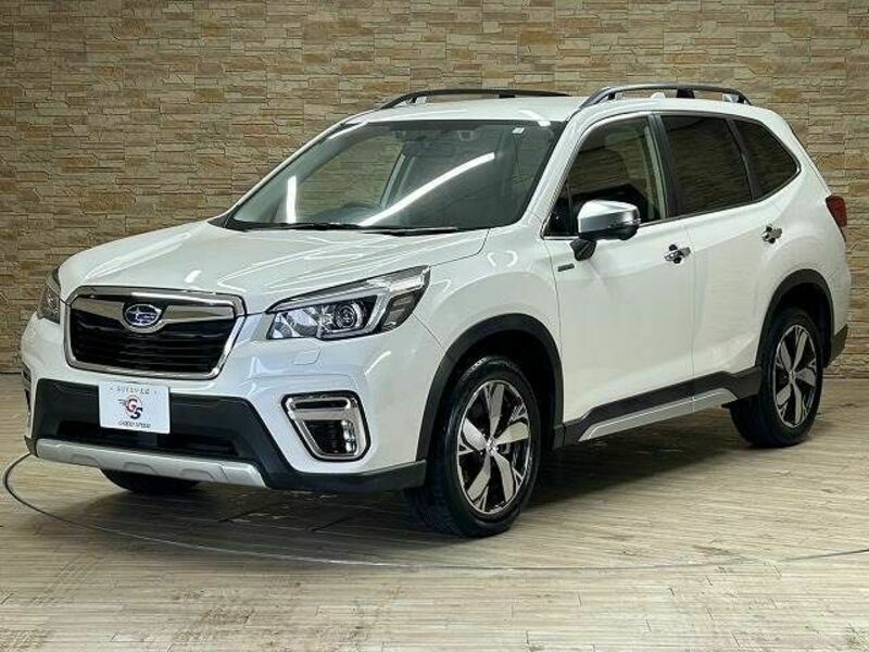 FORESTER-13
