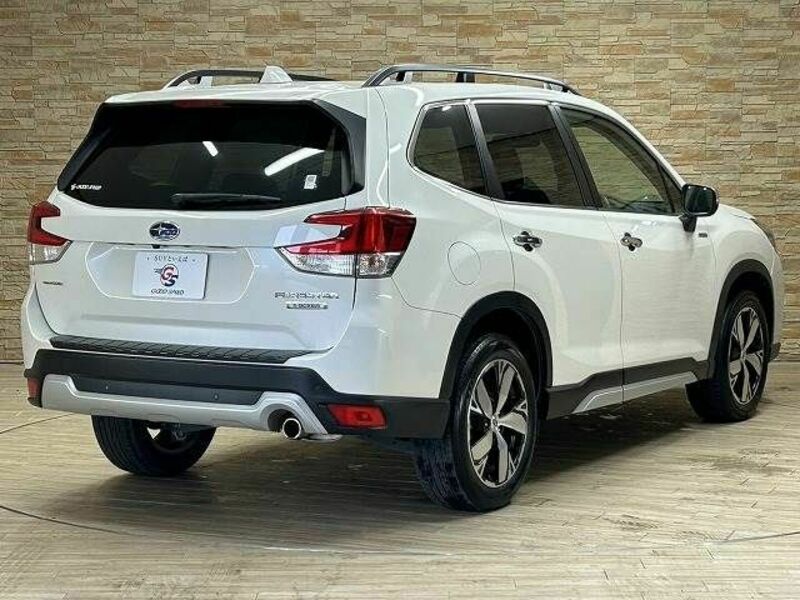 FORESTER-16