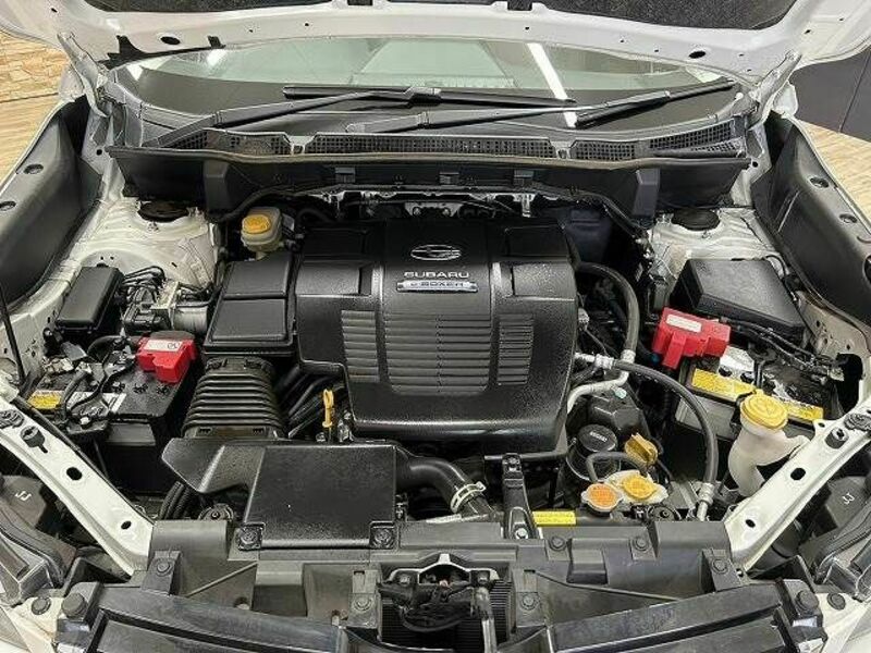 FORESTER-17