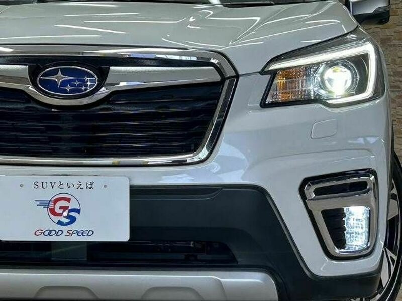 FORESTER-19