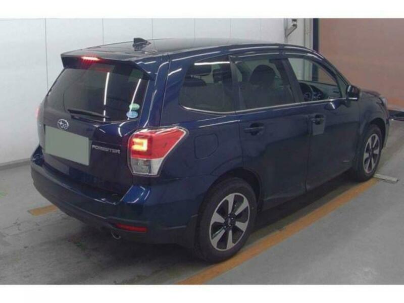 FORESTER-5