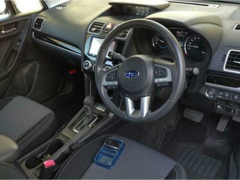 FORESTER-2