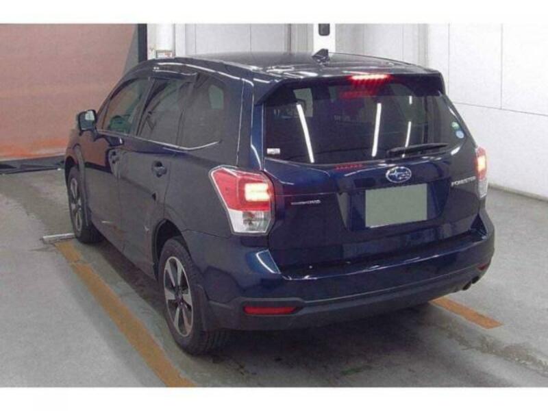 FORESTER-1