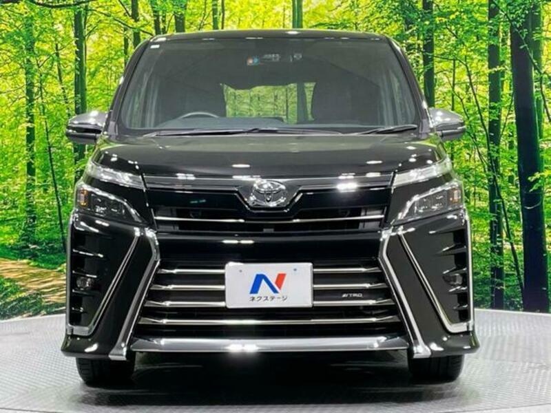 VOXY-13