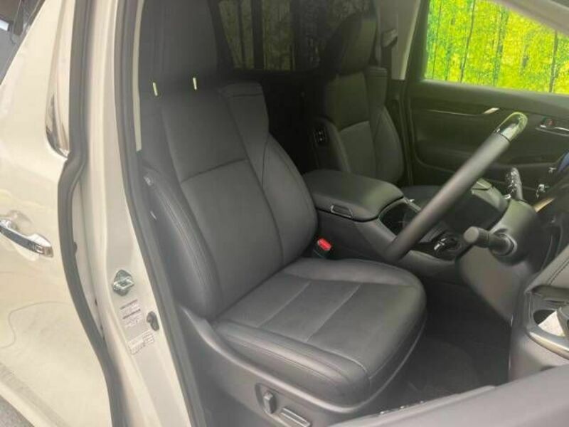 ALPHARD-7