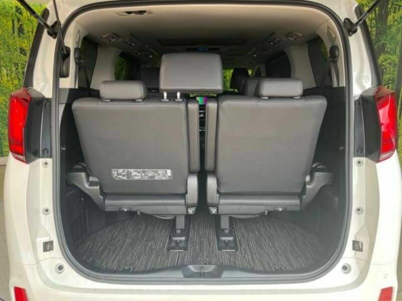 ALPHARD-10