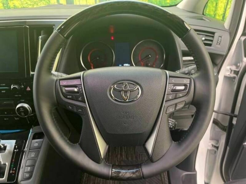 ALPHARD-11