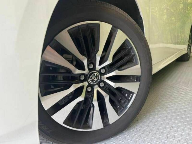 ALPHARD-13