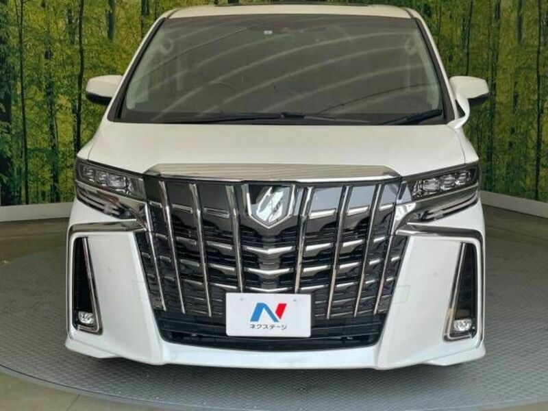 ALPHARD-14