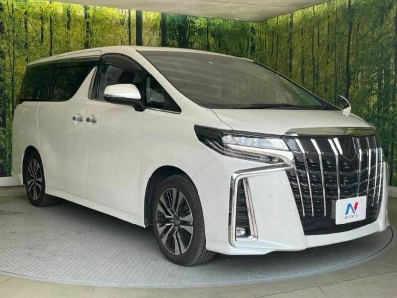 ALPHARD-16
