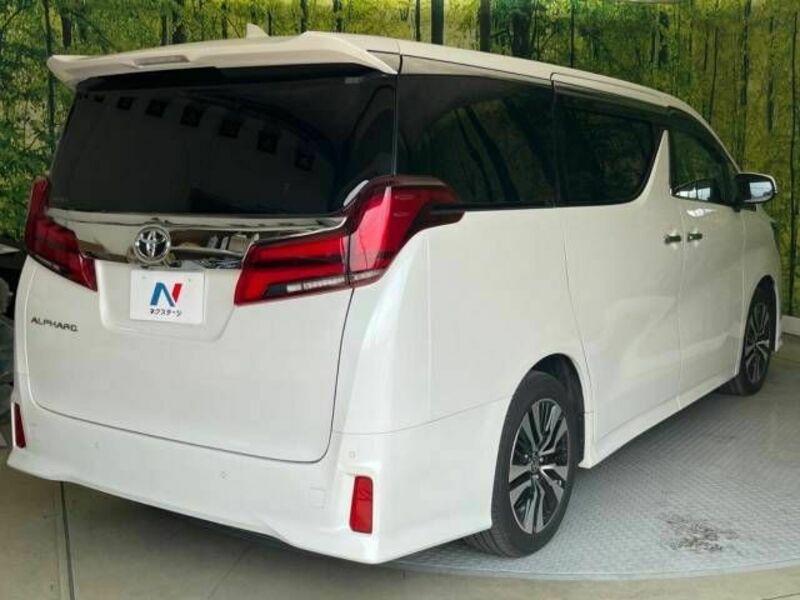 ALPHARD-17