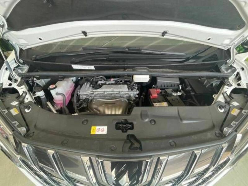 ALPHARD-18