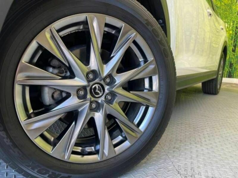 CX-8