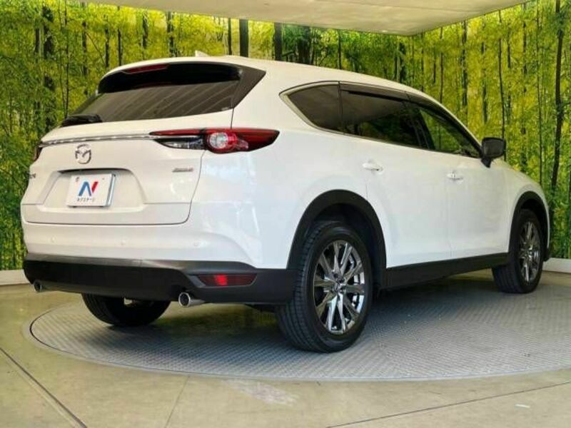CX-8