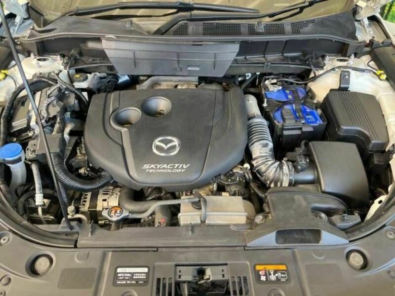 CX-8