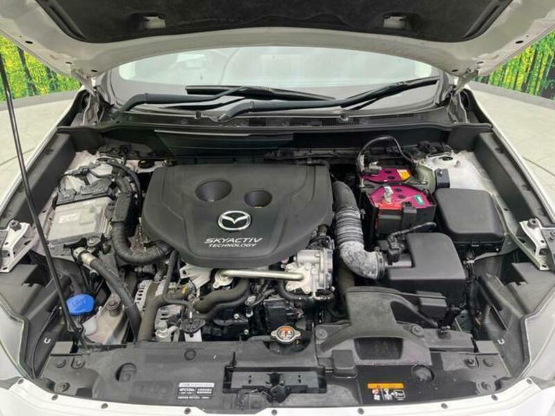 CX-3-17