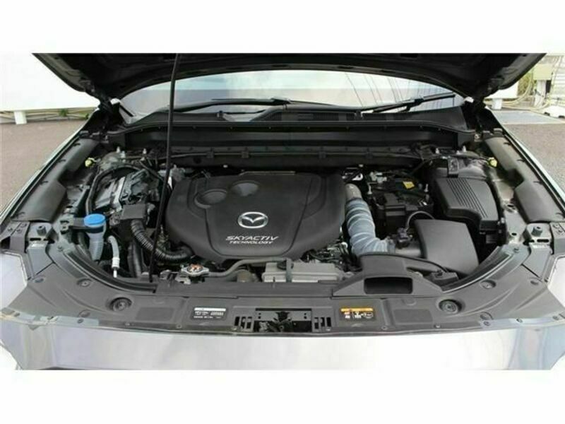 CX-8