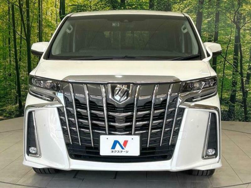 ALPHARD-13