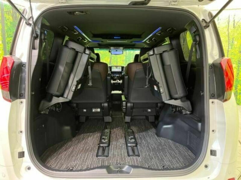 ALPHARD-10