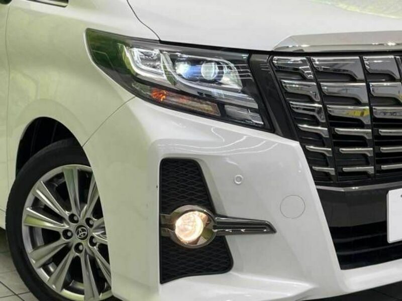 ALPHARD-12
