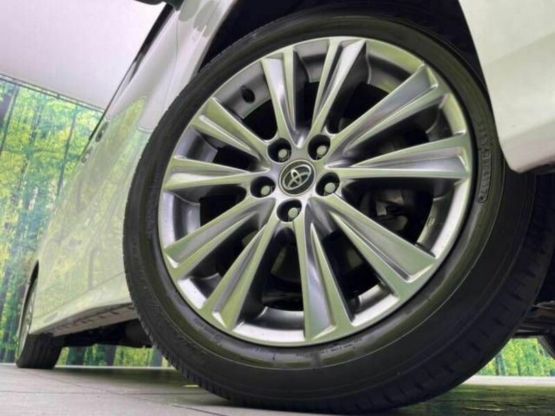 ALPHARD-13