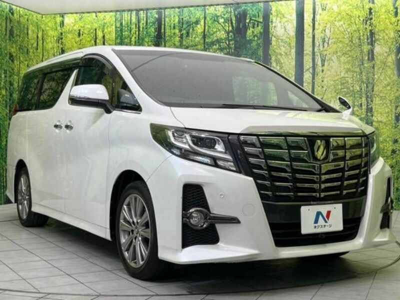 ALPHARD-16