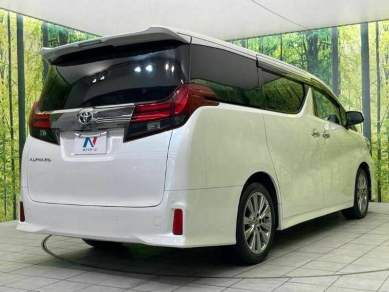 ALPHARD-17