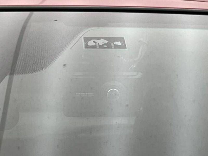 CX-3-6
