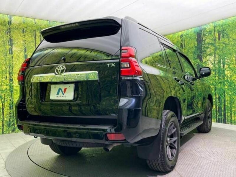 LAND CRUISER PRADO-16