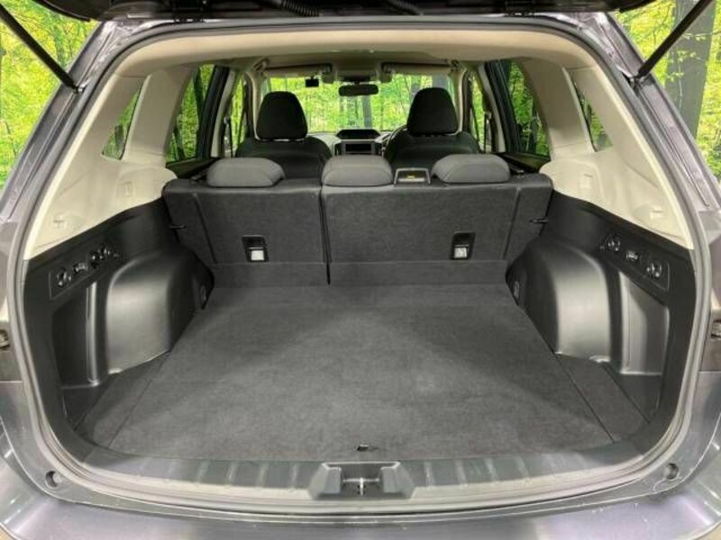 FORESTER-9