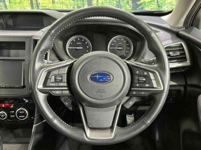 FORESTER-10