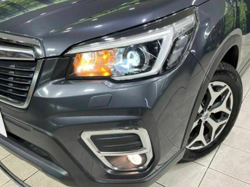 FORESTER-11