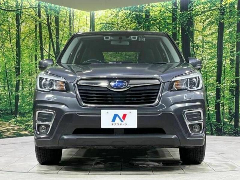 FORESTER-13