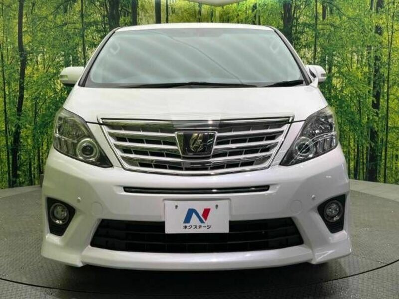 ALPHARD-13