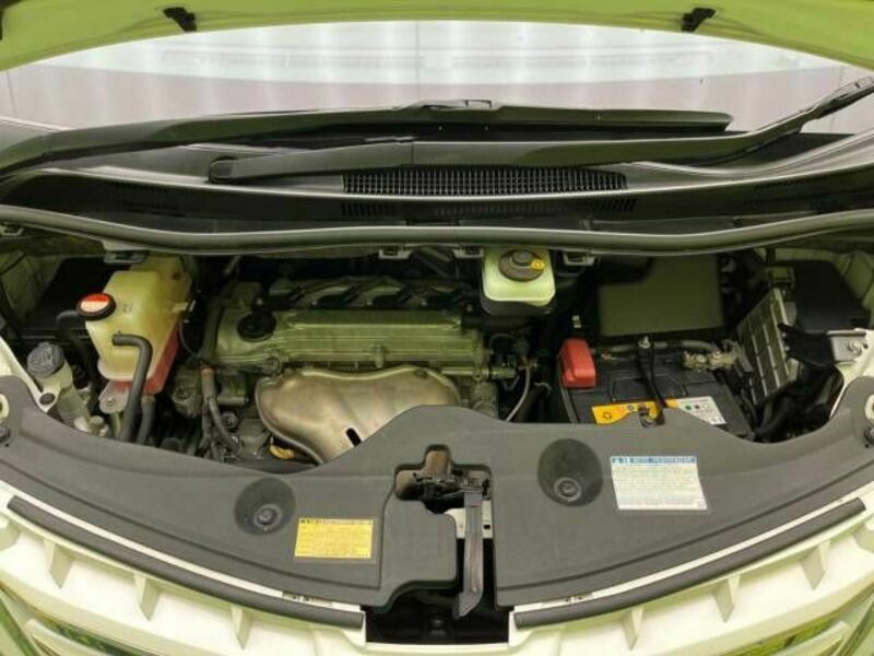 ALPHARD-17