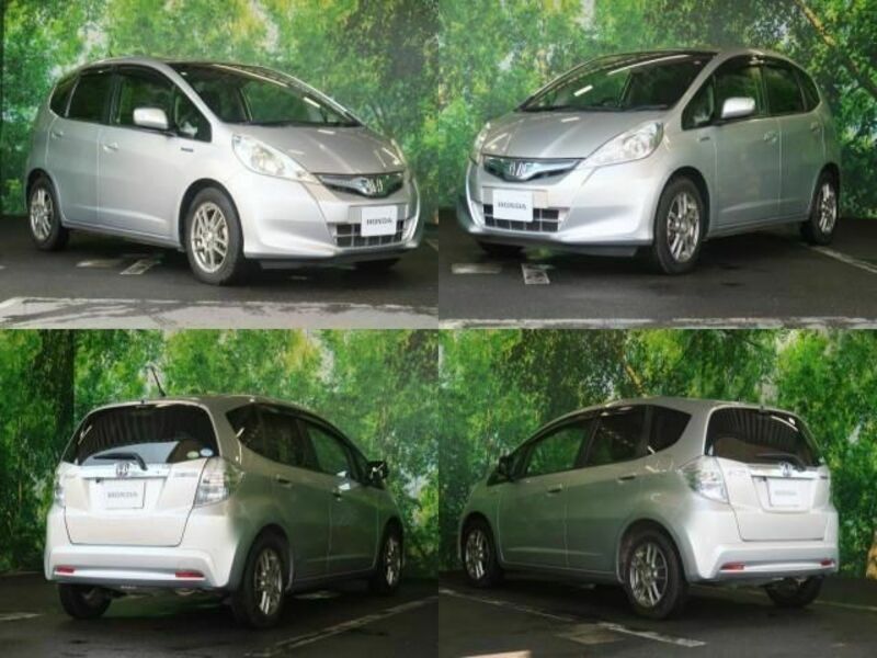 FIT HYBRID-1