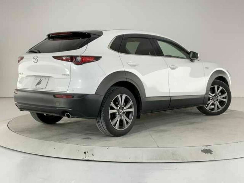 CX-30