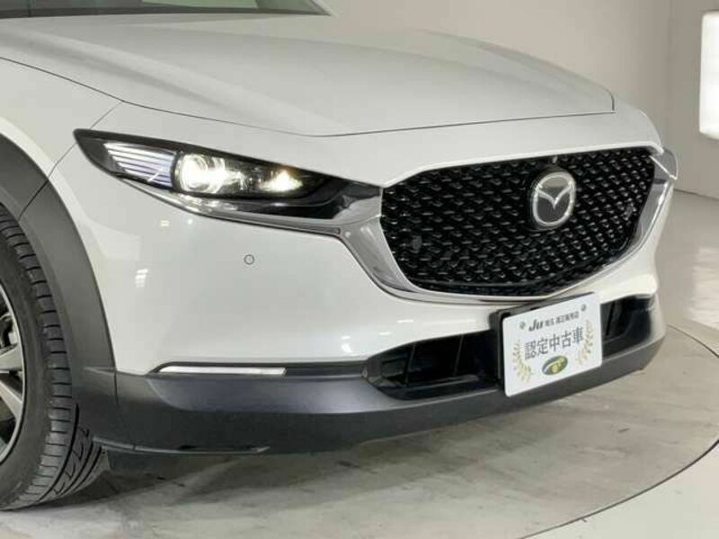 CX-30