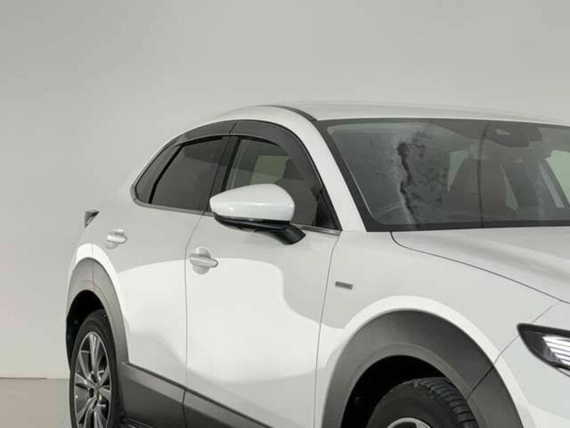 CX-30