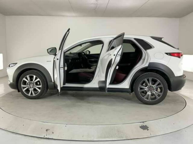 CX-30