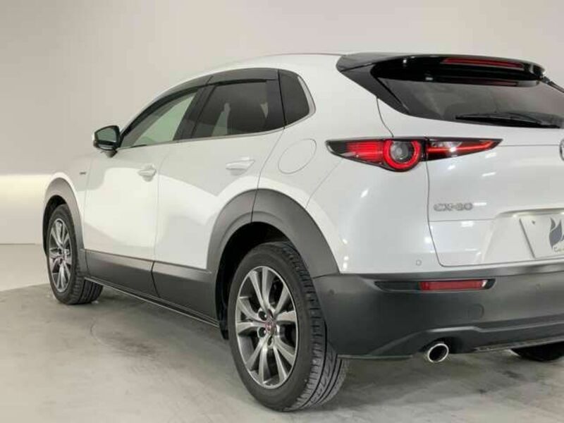 CX-30