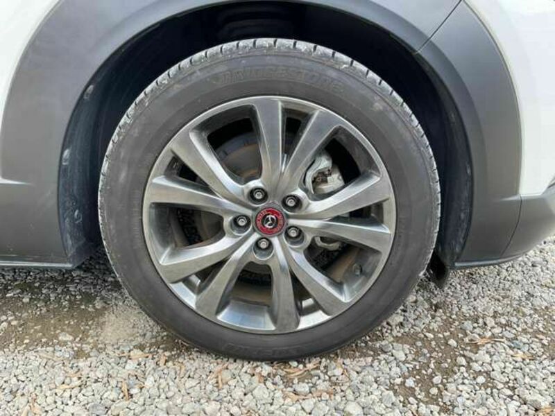 CX-30