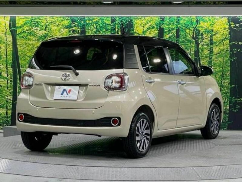 PASSO-16