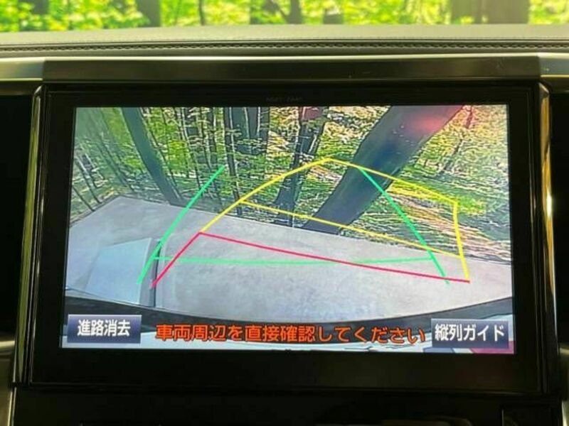 ALPHARD-6