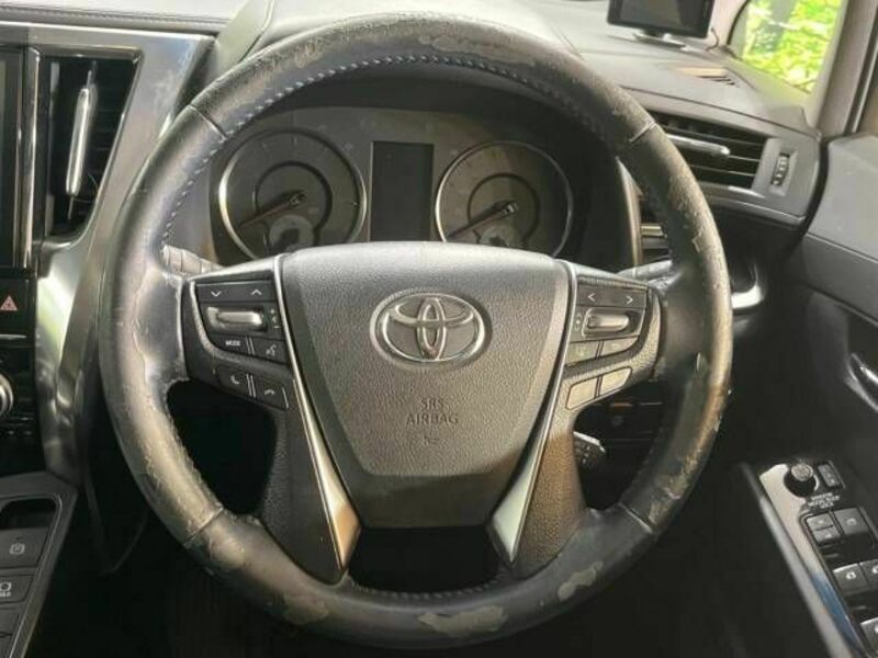 ALPHARD-10